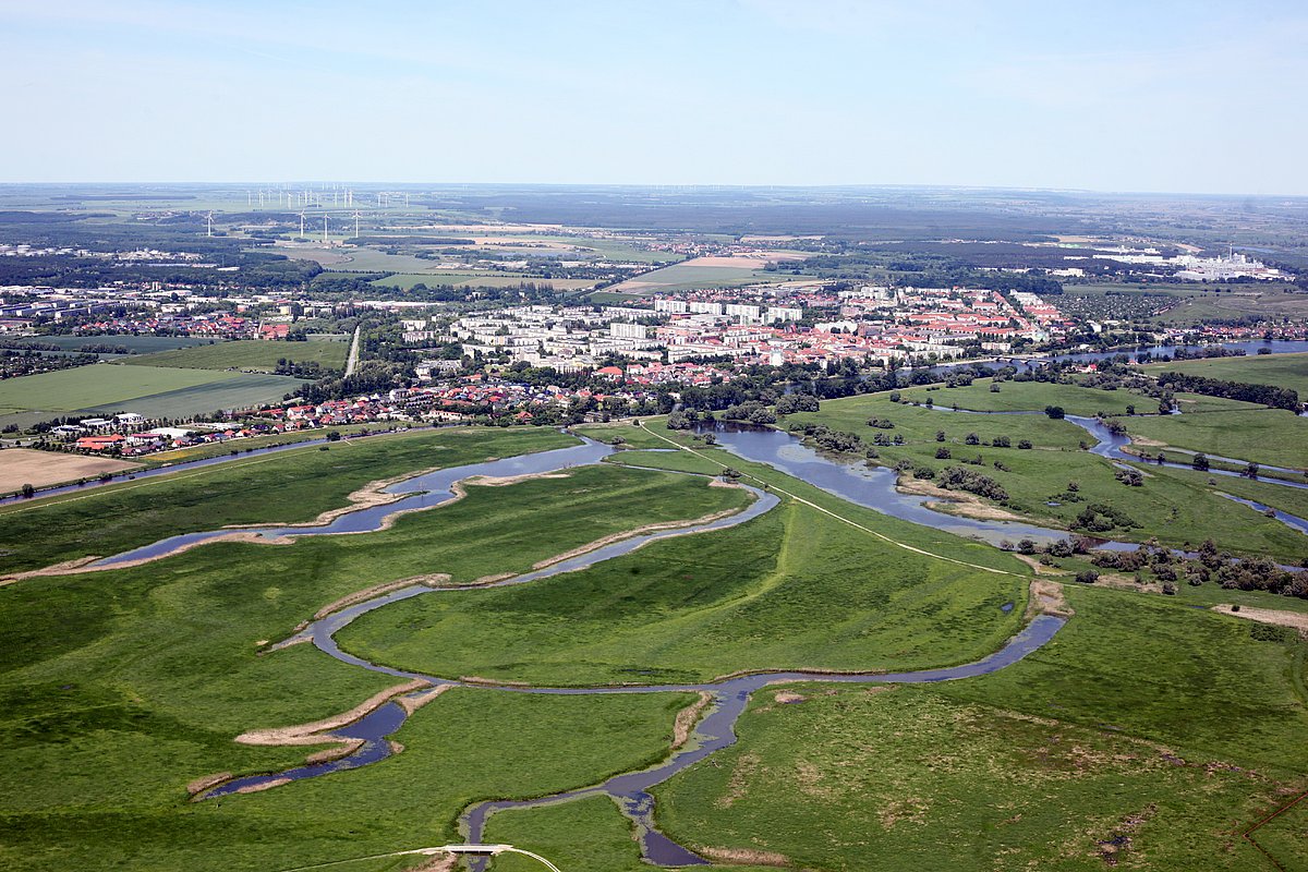 Drohnenaufnahme von Schwedt hinter dem Nationalpark