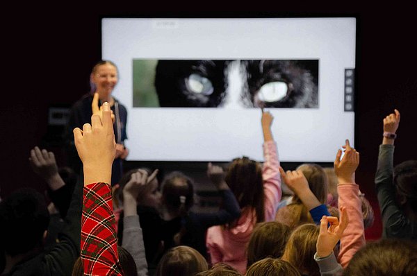 Vorne steht eine Präsentierende und man sieht einige sich meldende Hände von Schulkindern